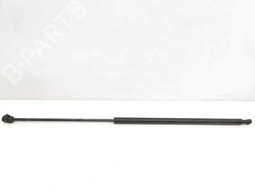 Used Hood lift support SAAB 9-3 (YS3F, E79, D79, D75) 1.9 TiD (150 hp) 14021009
