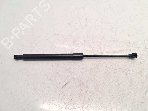 hood-lift-support-renault-clio-iv-bh_-2012-2013-2014-2015-2016-2017-2018-2019-2020-2021-36262820 main image