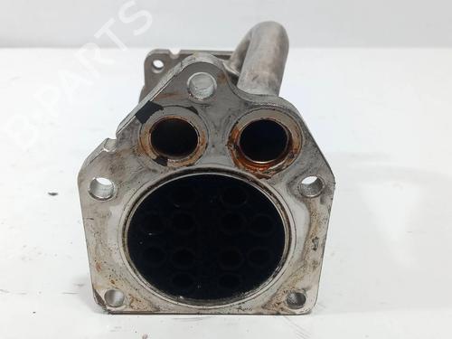 Egr NISSAN QASHQAI / QASHQAI +2 I (J10, NJ10, JJ10E) 1.5 dCi | BP14023204M69 