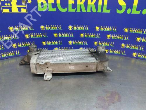 Intercooler TATA SAFARI (42_FD)  | BP16502201M30 