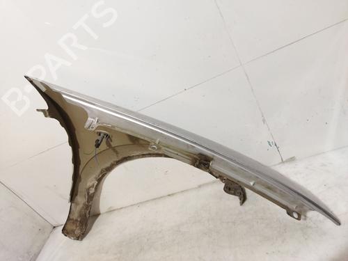 Left front fenders CITROËN C3 I (FC_, FN_) 1.1 i | BP29356425C41 