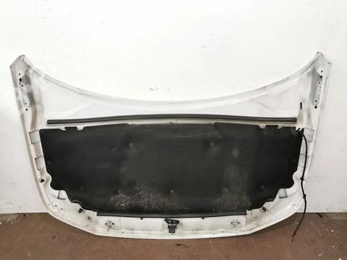 Hood LAND ROVER FREELANDER 2 (L359) 2.2 TD4 4x4 | BP10359088C1 