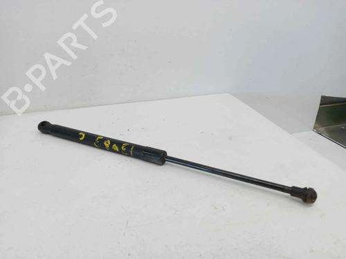 Used Hood lift support VW CADDY III Box Body/MPV (2KA, 2KH, 2CA, 2CH) 1.9 TDI (105 hp) 14021193