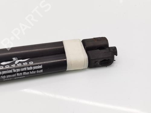 Tailgate lift support NISSAN QASHQAI / QASHQAI +2 I (J10, NJ10, JJ10E) 1.5 dCi | BP28074046C138 