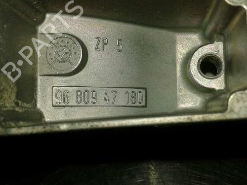 Front right exterior door handle PEUGEOT 407 SW (6E_, 6D_) 2.0 HDi 135 | BP8437070C129 