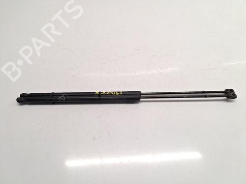 Used Tailgate lift support FORD C-MAX II (DXA/CB7, DXA/CEU) 1.0 EcoBoost (125 hp) 30154163