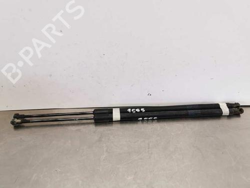 Used Tailgate lift support NISSAN NOTE (E11, NE11) 1.5 dCi (86 hp) 14019662