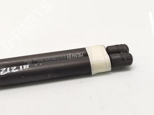 Tailgate lift support VW TOURAN (1T1, 1T2) 2.0 TDI 16V | BP30305231C138