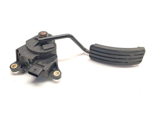 Used Pedal RENAULT SCÉNIC II (JM0/1_) 1.9 dCi (JM0G, JM12, JM1G, JM2C) (120 hp) 29824047
