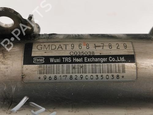 Egr CHEVROLET CAPTIVA (C100, C140) 2.0 D 4WD | BP16341533M69 