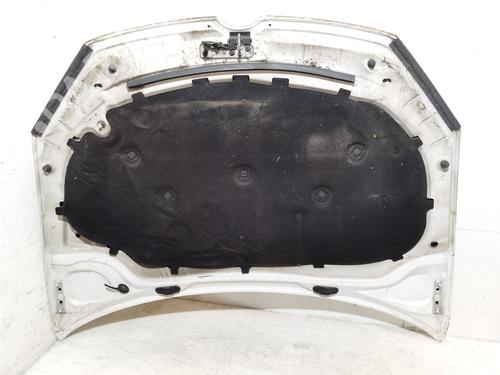 Hood VW GOLF VI (5K1) 1.6 TDI | BP27391966C1 