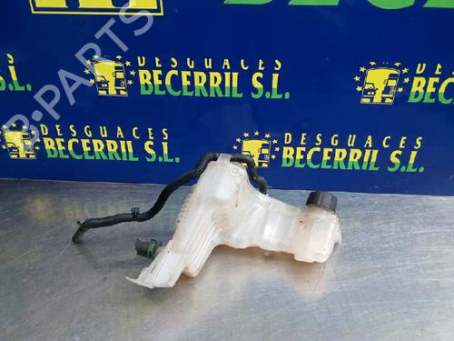 Expansievat RENAULT LAGUNA III (BT0/1) 2.0 dCi (BT01, BT08, BT09, BT0E, BT0K, BT12, BT1C, BT1D,... (150 hp)null