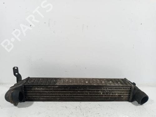 Used Intercooler SEAT ALHAMBRA (7V8, 7V9) 1.9 TDI (115 hp) 8693687