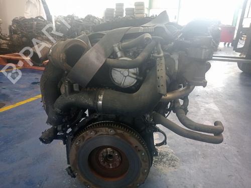 Engine NISSAN ALMERA TINO (V10) 2.2 dCi | BP23884679M1 