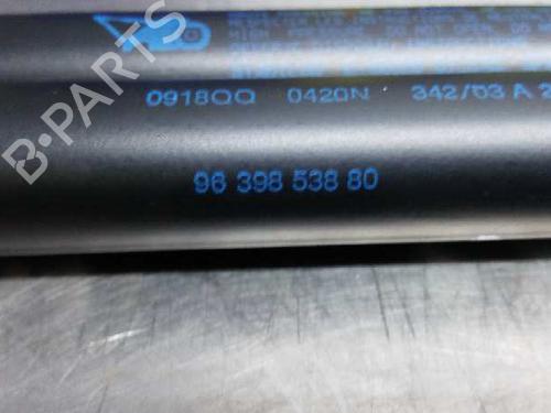 Tailgate lift support CITROËN C3 I (FC_, FN_) 1.4 HDi | BP14017964C138 