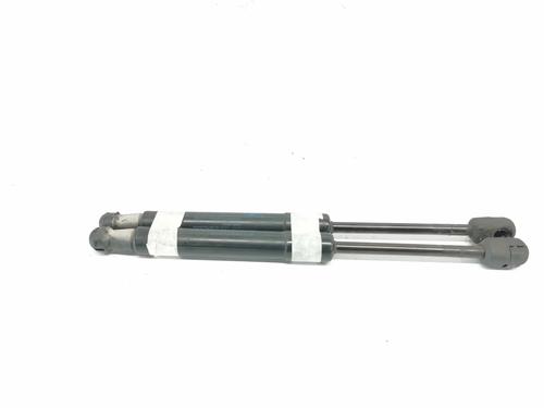 Used Hood lift support RENAULT SCÉNIC III (JZ0/1_) [2008-2016]  14021171