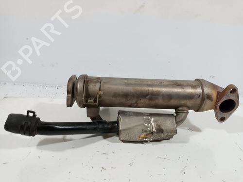 Egr FORD MONDEO III (B5Y)  | BP14020718M69 