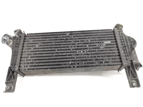 Intercooler NISSAN PATHFINDER III (R51) 2.5 dCi 4WD | BP16359476M30 