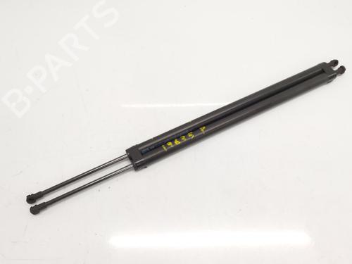 Used Tailgate lift support NISSAN NV200 / EVALIA Bus 1.5 dCi 90 (M20, M20M) (90 hp) 28350038