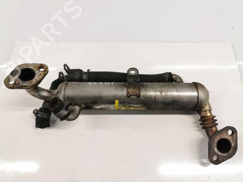 Used Egr RENAULT KANGOO Express (FC0/1_) [1997-2025]  14024061