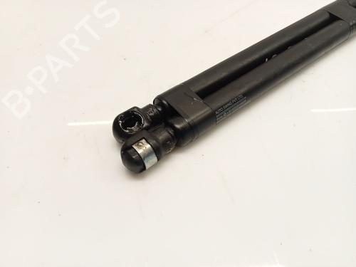 Tailgate lift support TATA INDIGO MARINA (4_V2)  | BP24572921C138 