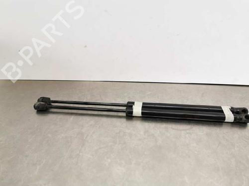 Used Tailgate lift support KIA PICANTO I (SA) 1.1 (65 hp) 14019740