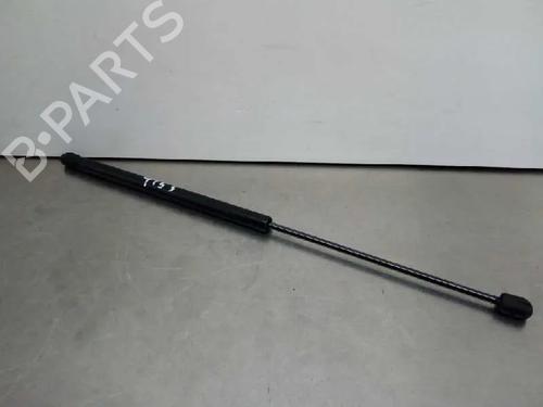 Used Hood lift support SEAT TOLEDO II (1M2) [1998-2006]  17174165