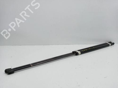 Gassdemper Bakluke FIAT DOBLO Box Body/MPV (223_) [2000-2025]  14021038