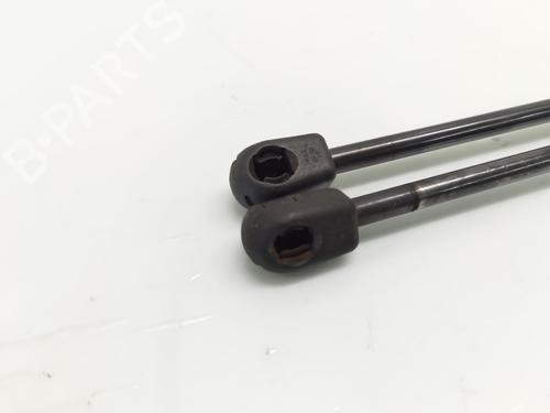 Tailgate lift support FORD FOCUS II (DA_, HCP, DP)  | BP24455313C138 