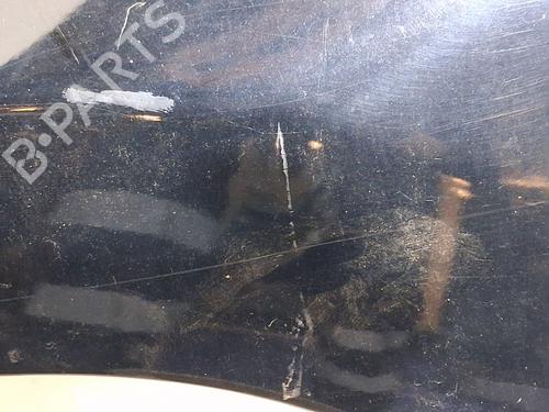 Left front fenders TOYOTA RAV 4 III (_A3_) 2.2 D 4WD (ALA30_, ALA30R) | BP29359948C41 