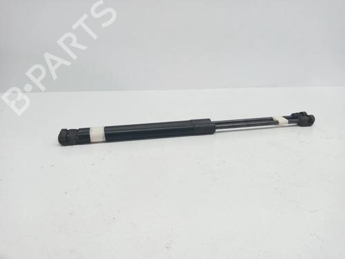Used Hood lift support CHEVROLET CAPTIVA (C100, C140) 2.0 D 4WD (150 hp) 14021440