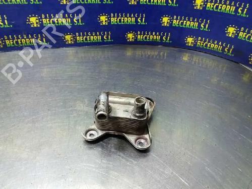 Oil radiator FORD FOCUS I (DAW, DBW)  | BP17173961M33 