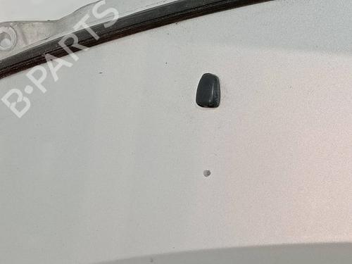 Hood SMART FORFOUR (454) 1.1 (454.030) | BP17989317C1