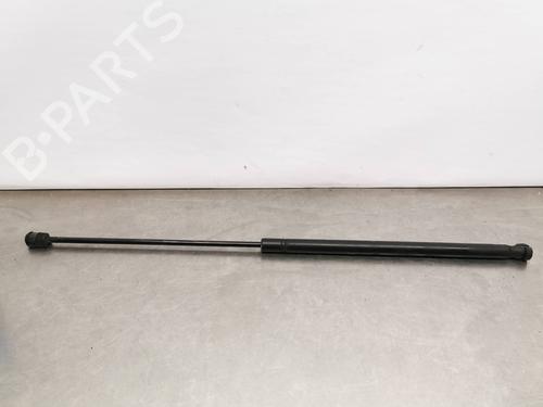 Pansergassdemper OPEL VECTRA C (Z02) 2.2 DTI 16V (F69) (125 hp) 14020361