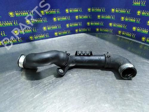 Used Engine mount VW CADDY III MPV (2KB, 2KJ, 2CB, 2CJ) 1.9 TDI (75 hp) 8760989