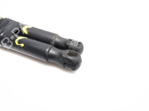 Hood lift support MINI MINI (R56) One | BP25914101C139 