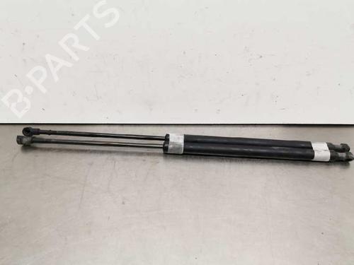 Used Tailgate lift support NISSAN X-TRAIL I (T30) 2.2 Di 4x4 (114 hp) 14019563