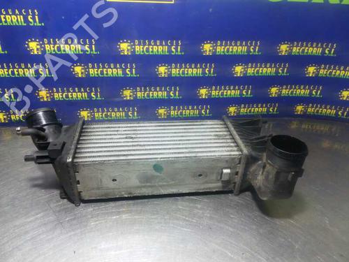 BP16502244M30 | Intercooler PEUGEOT 607 (9D, 9U) 2.2 HDi BP16502244M30