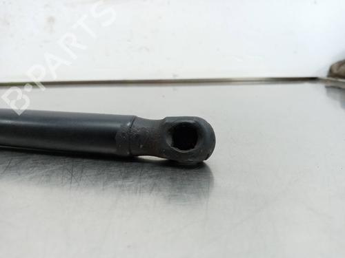 Hood lift support VW GOLF V (1K1)  | BP14019910C139 