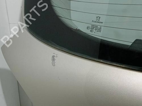 Tailgate PEUGEOT 207 (WA_, WC_)  | BP17988952C6 