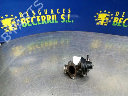 Egr SEAT IBIZA II (6K1) 1.9 SDI | BP8454958M69 