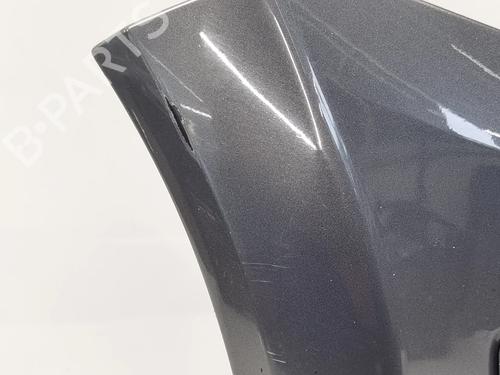 Front bumper RENAULT MEGANE II (BM0/1_, CM0/1_)  | BP19654391C7 