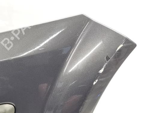 Front bumper RENAULT MEGANE II (BM0/1_, CM0/1_)  | BP19654391C7 