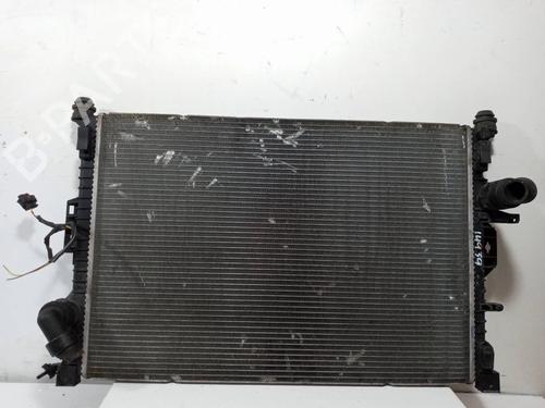 Køler LAND ROVER FREELANDER 2 (L359) 2.2 TD4 4x4 (152 hp) 10625439