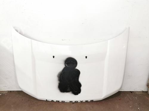 Used Hood LAND ROVER FREELANDER 2 (L359) 2.2 TD4 4x4 (152 hp) 10359088