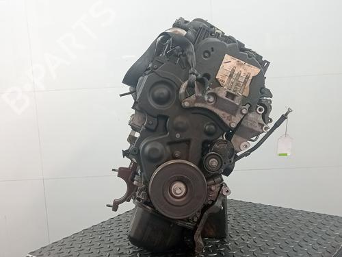 Engine FORD FUSION (JU_) 1.4 TDCi | BP28517938M1