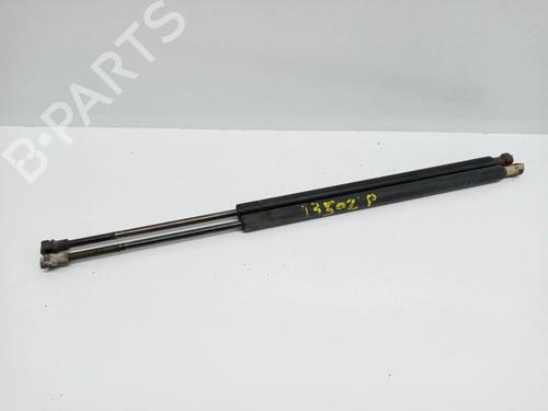 Used Tailgate lift support BMW X5 (E53) 3.0 i (231 hp) 14021401