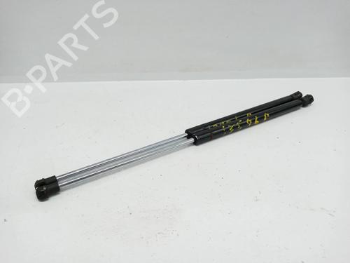 Used Tailgate lift support MERCEDES-BENZ A-CLASS (W169) A 180 CDI (169.007, 169.307) (109 hp) 14021479