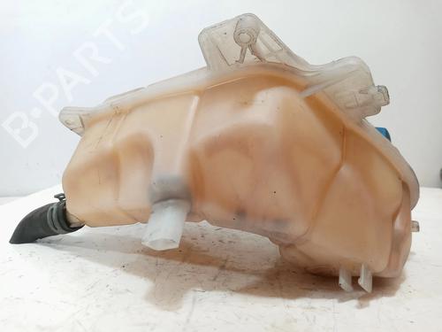 Expansion tank SEAT EXEO (3R2) 2.0 TDI | BP10302284C120 