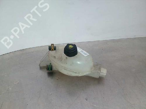 Used Expansion tank RENAULT MASTER III Platform/Chassis (EV, HV, UV) 2.3 dCi 150 RWD (HV0F, UV0F) (150 hp) 9265290